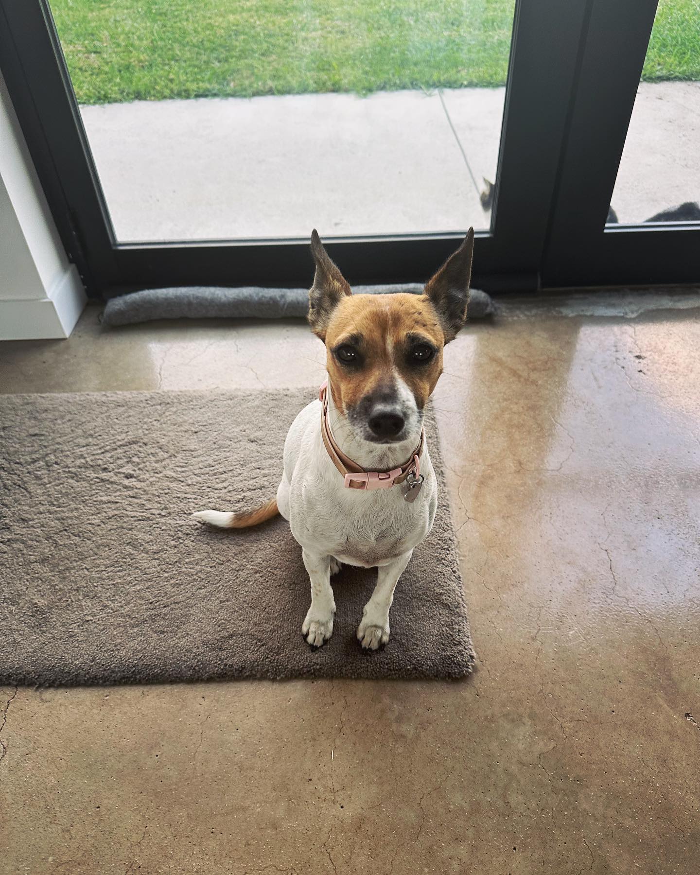My Pack — Liza Choa